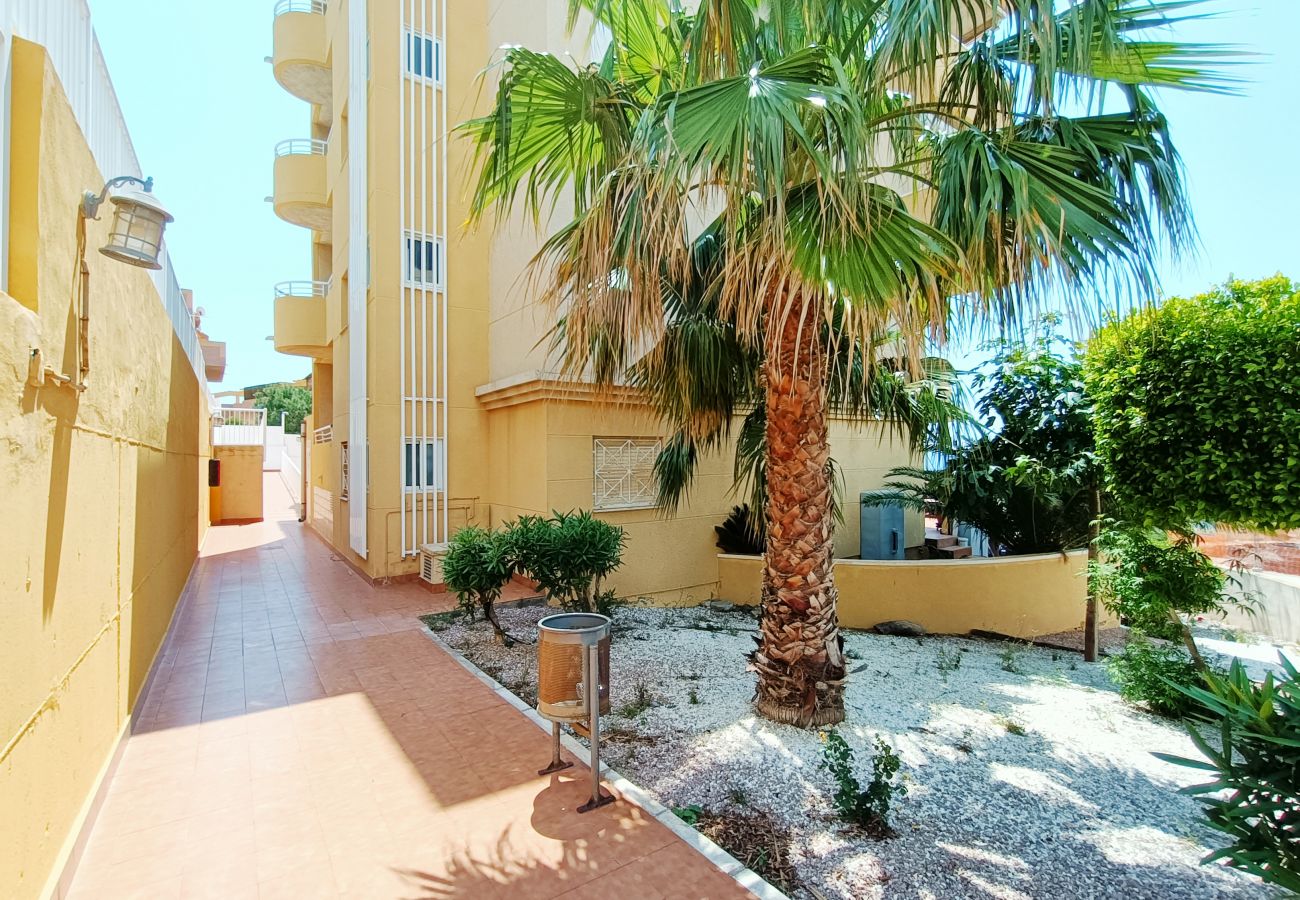 Appartement in Cabo de Palos - Parque Marino - 5206